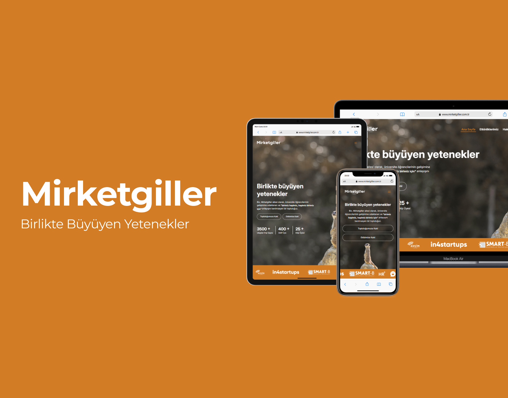 Mirketgiller